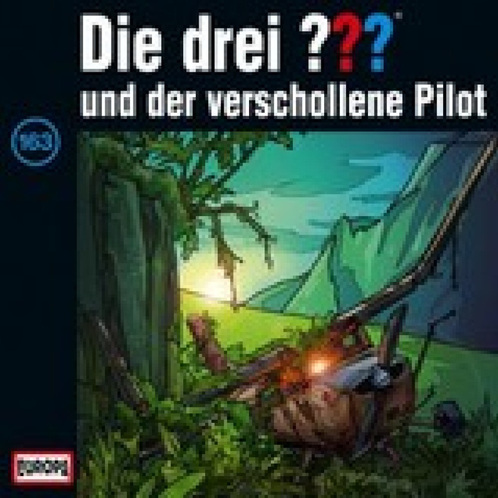 Die drei Fragezeichen - und der verschollene Pilot (163)